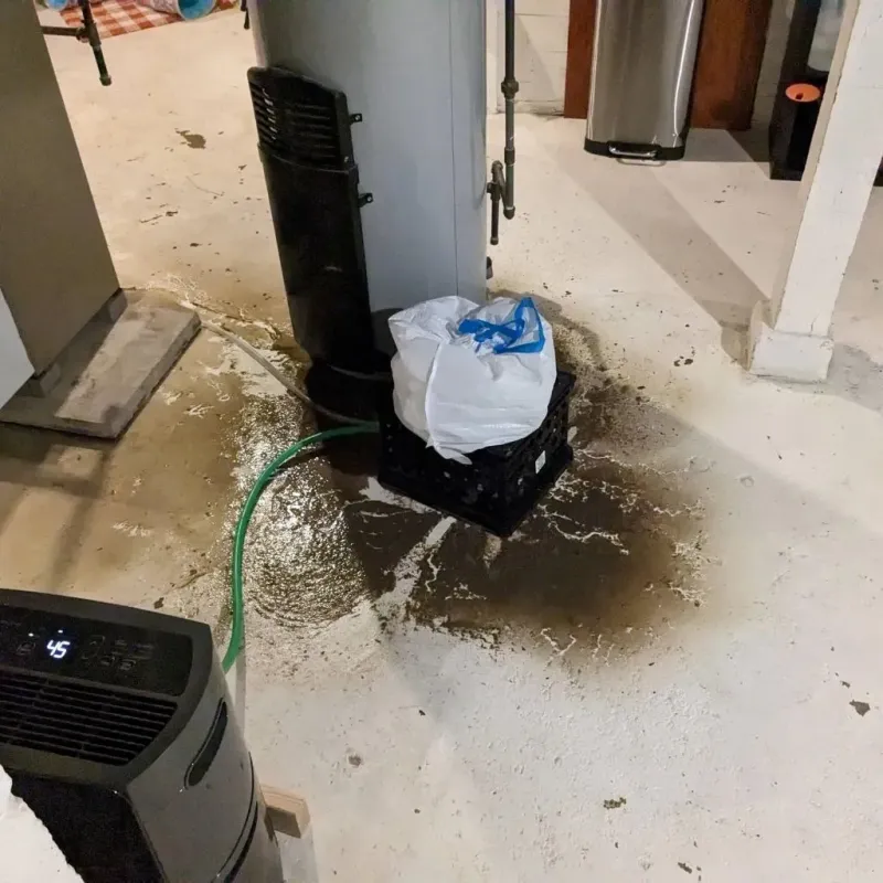 Sewage Backup Cleanup Service in East Pittsburgh, PA